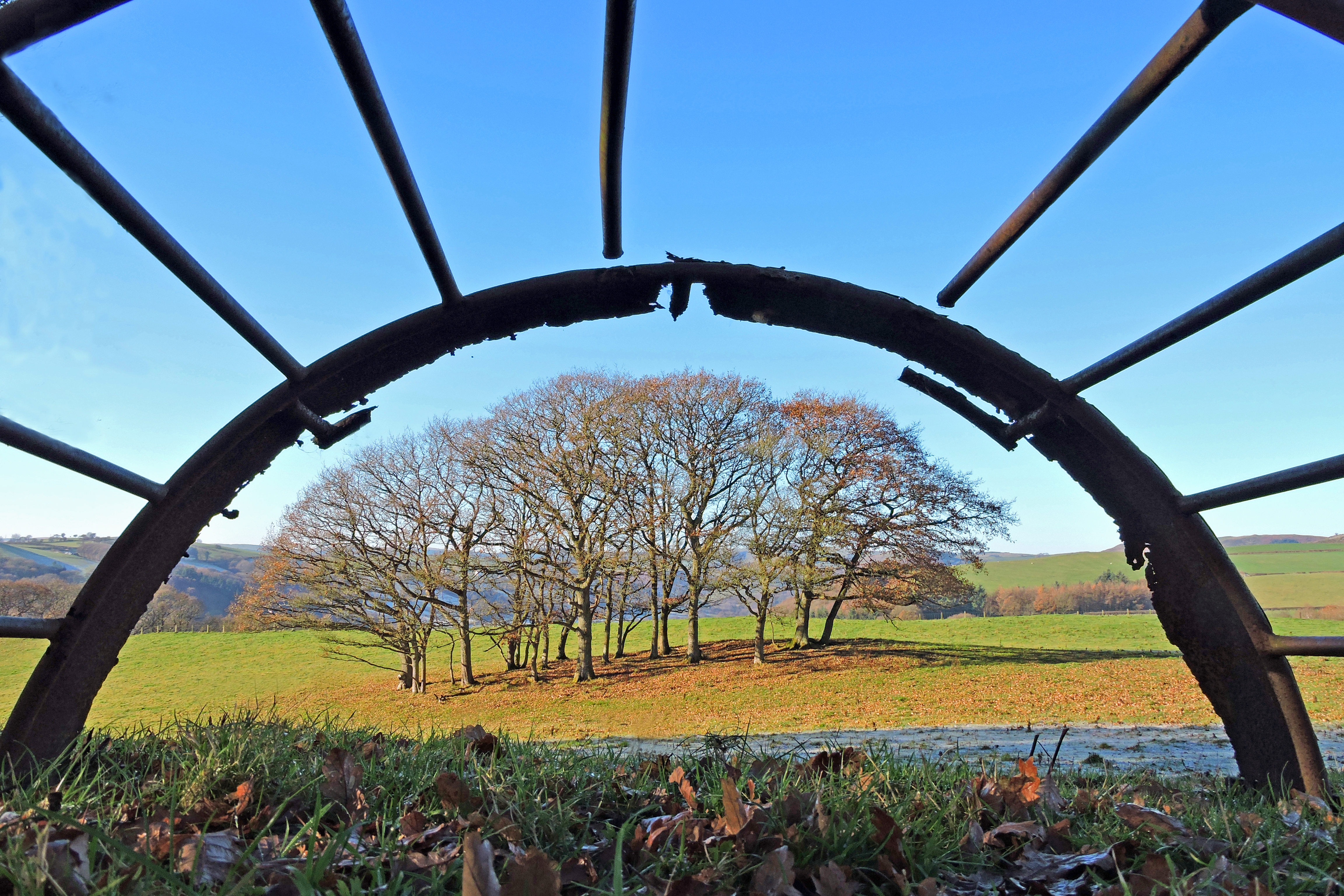 THROUGH THE CRATCH. Bill Bagley Photography